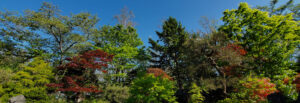 西の高野山 弘法寺