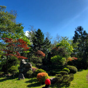 西の高野山 弘法寺ーご案内