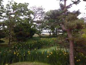 西の高野山 弘法寺－春・夏