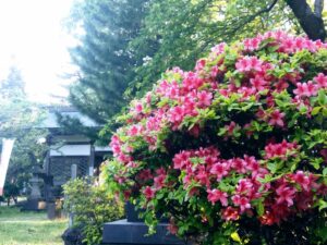 西の高野山 弘法寺－春・夏