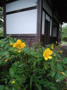 西の高野山 弘法寺－春・夏