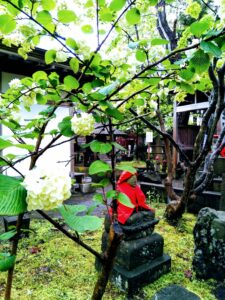 西の高野山 弘法寺－春・夏