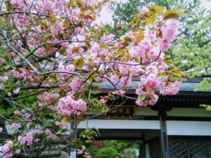 西の高野山 弘法寺－春・夏