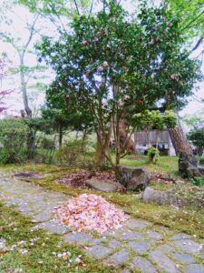 西の高野山 弘法寺－春・夏