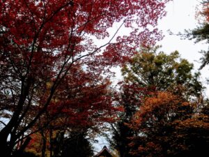 西の高野山 弘法寺－秋