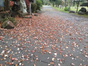 西の高野山 弘法寺－秋