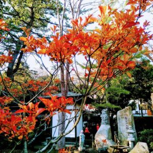 西の高野山 弘法寺－秋