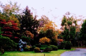 西の高野山 弘法寺－秋