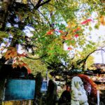 西の高野山 弘法寺－秋
