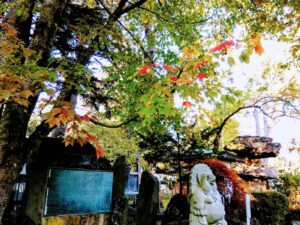 西の高野山 弘法寺－秋