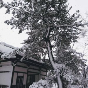 西の高野山 弘法寺－冬