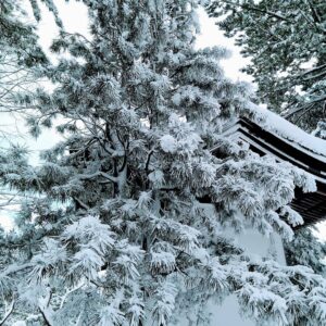 西の高野山 弘法寺－冬