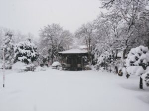 西の高野山 弘法寺－冬