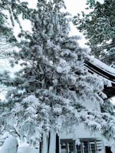 西の高野山 弘法寺－冬