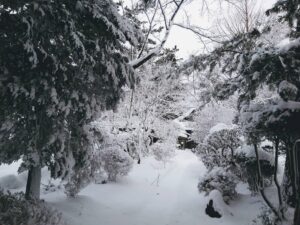 西の高野山 弘法寺－冬