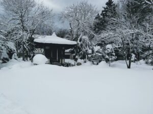 西の高野山 弘法寺－冬