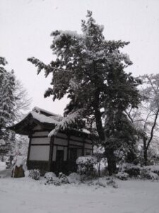 西の高野山 弘法寺－冬