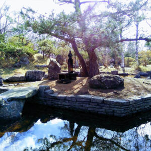 西の高野山 弘法寺－雲海