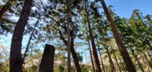 西の高野山 弘法寺－境内