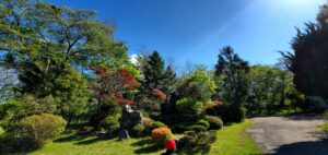 西の高野山 弘法寺－境内