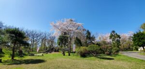 西の高野山 弘法寺－境内