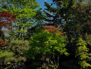 西の高野山 弘法寺－自然葬